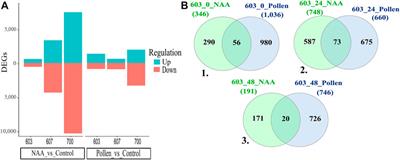 Parthenocarpy-related genes induced by naphthalene acetic acid in oil palm interspecific O × G [Elaeis oleifera (Kunth) Cortés × Elaeis guineensis Jacq.] hybrids